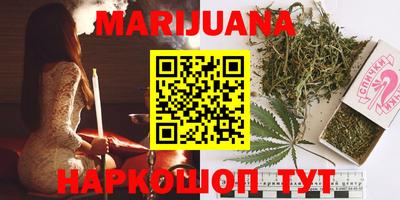 индика Моздок