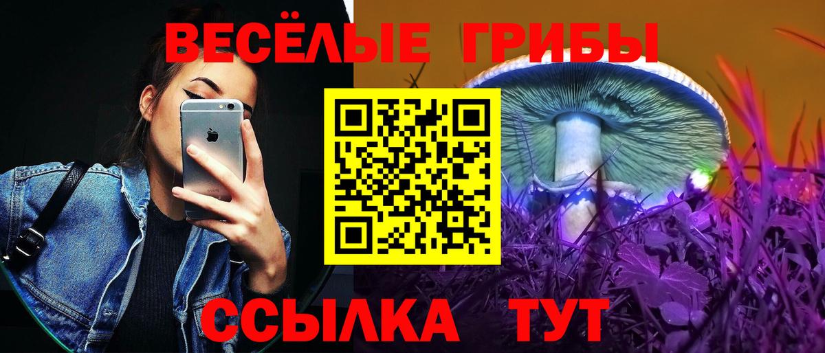 Псилоцибиновые грибы ЛСД  Вход с VPN  Псилоцибиновые грибы Psilocybe  Щёлково 